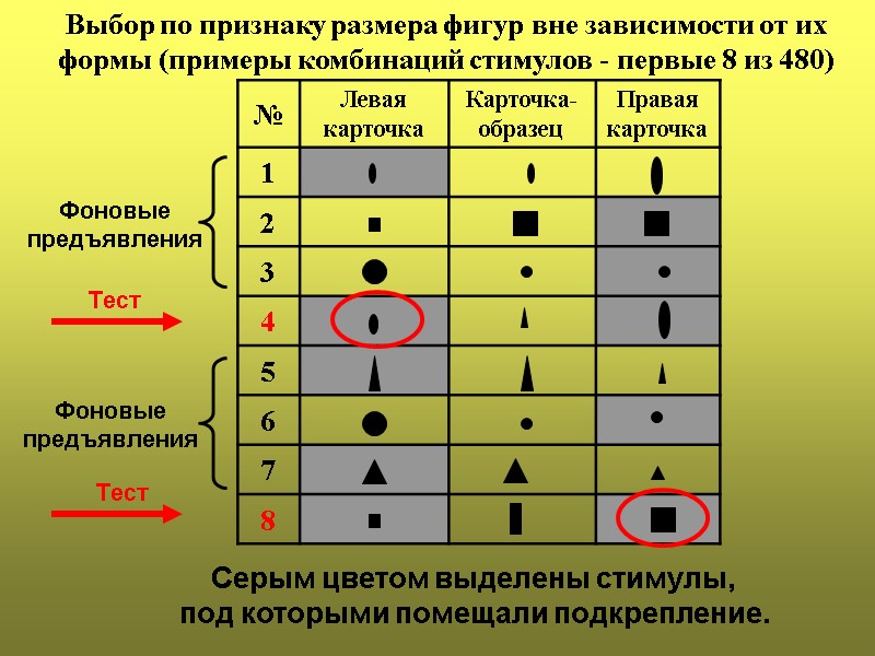 Выбор по признаку размера фигур вне зависимости от их формы (примеры комбинаций стимулов -
